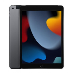 iPad 10.2 cala Wi-Fi 64GB - Gwiezdna szarość