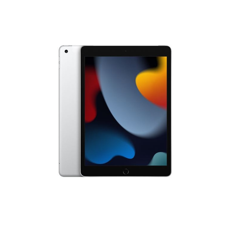 iPad 10.2 cala Wi-Fi 256GB - Srebrny