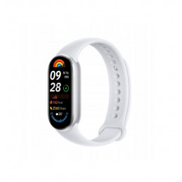 Smartband XIAOMI Mi Band 9 Glacier Silver