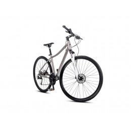 28200450-B - 20 L Rower ROMET Orkan 4 D szampansko-czarno-srebrny