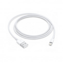 Apple Lightning to USB Cable (1m)