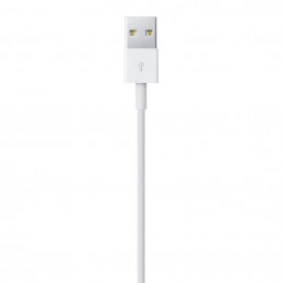 Apple Lightning to USB Cable (1m) Apple Lightning to USB Cable (1m)