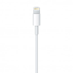Apple Lightning to USB Cable (1m) Apple Lightning to USB Cable (1m)