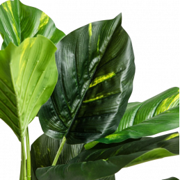 Roślina sztuczna HOMLA Sterlicja 60cm 721816 Roślina sztuczna HOMLA Sterlicja 60cm 721816